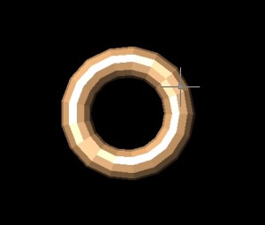 円環体