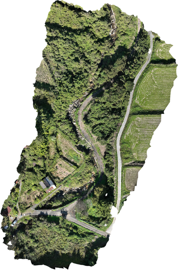 解析後のオルソ画像データ 国東市産学官