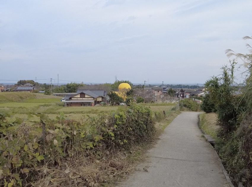 ラバーダックと国東